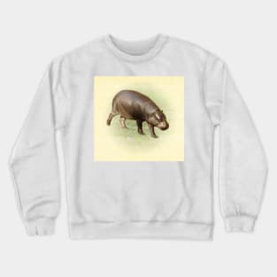 Pygmy hippopotamus Crewneck Sweatshirt